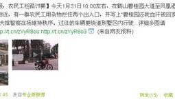 青州碧桂园爆料视频大全,揭秘项目背后的真相与争议